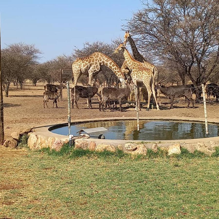Hotel Ombo Rest Camp Okahandja Zewnętrze zdjęcie