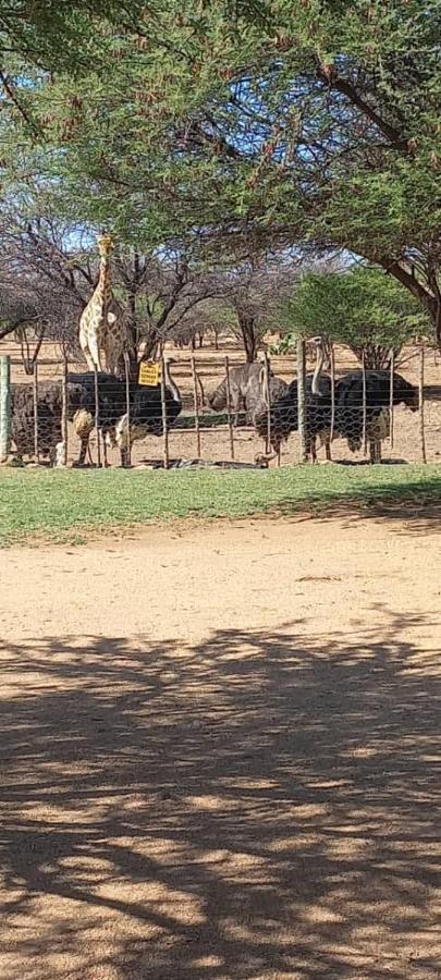 Hotel Ombo Rest Camp Okahandja Zewnętrze zdjęcie