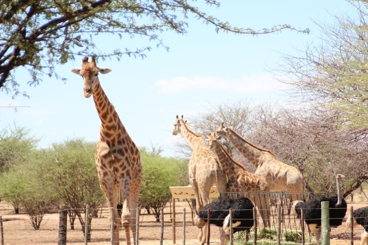 Hotel Ombo Rest Camp Okahandja Zewnętrze zdjęcie